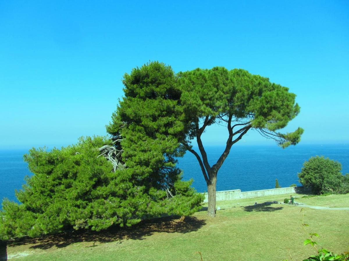 Apartment Beba Rovinj Ngoại thất bức ảnh